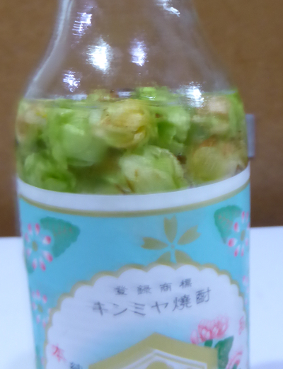 カイコガネ(ホップ)|キンミヤ焼酎