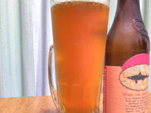 ドッグフィッシュヘッド・ 90min・IPA （Dogfish Head 90 Minute Imperial IPA)｜ドッグフィッシュヘッド（Dogfish Head Brewery）