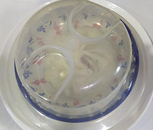 電子レンジで美味しく、豚まん(肉まん)を温める方法|STEP4