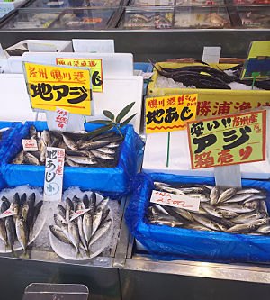 アジ｜外房の魚屋｜魚平｜上総一宮