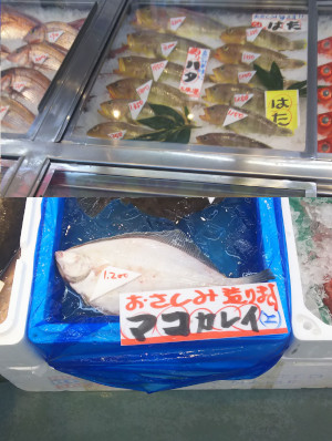 一宮海鮮市場 魚平|マコガレイ