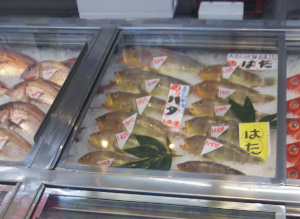 一宮海鮮市場 魚平|ハタ