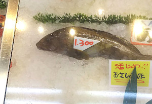 一宮海鮮市場 魚平|アイナメ