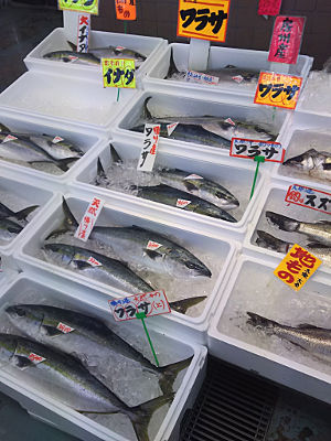 イナダ|外房の魚屋|魚平|上総一宮