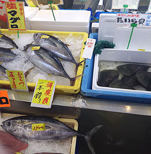 タイラ貝とマグロ｜魚平｜上総一ノ宮