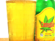 カンナビア・ヘンプビール(Cannabia Beer)｜クローネンブロイ醸造所（Kronenbrauerei Wahl）