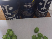 自宅栽培のホップで市販ビール（青鬼）のホップ増強に挑戦