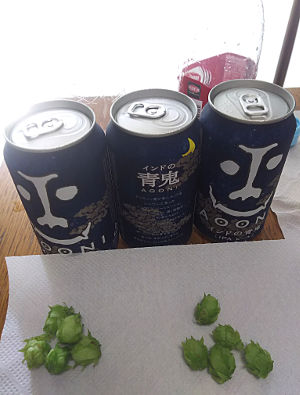 自宅栽培のホップで市販ビール(青鬼)のホップ増強に挑戦