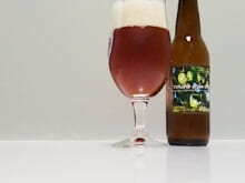 ハーヴェスト・ムーン 余市スタイルIPA(Harvest Moon Yoichi Style IPA)｜イクスピアリ 舞浜地ビール(ikspiari)