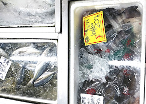 マグロが安くておいしい、古清水産｜市原