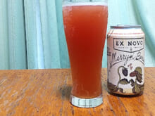 マリリン・ベリーズ（Marryin' Berries）｜エクスノボ（EX NOVO Brewing）