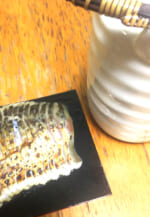 ディメール 鯖のスモーク