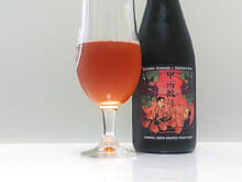 甲州微行NO BUBBLE 2020(kousyuubikou NO BUBBLE 2020)｜反射炉ビヤ(HANSHARO BEER BREWING)