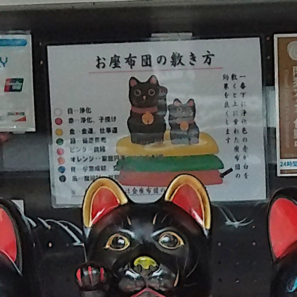 縁起屋 古壺の黒い招き猫｜座布団の飾り方